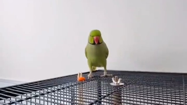 这rap有点上头！