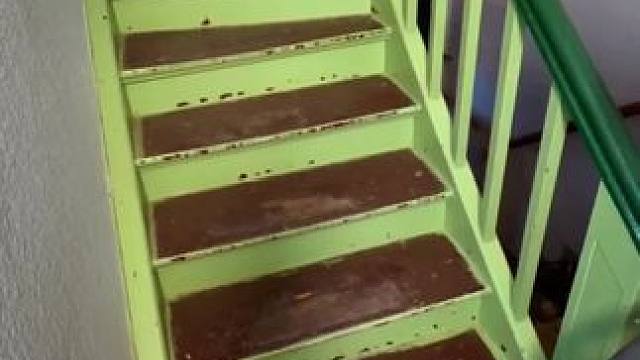 我发布了一个新视频，快来围观吧！