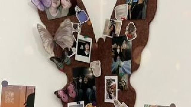 艾特那个会搜集你们的照片，为你做一面蝴蝶照片墙的人！ #蝴蝶毛毡板 #惊喜 #玩个很新的东西