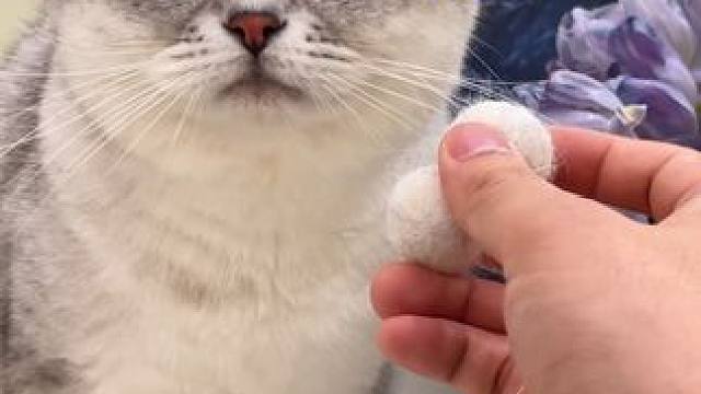 为了安慰我家猫给它做了个小玩具，结果没想到······