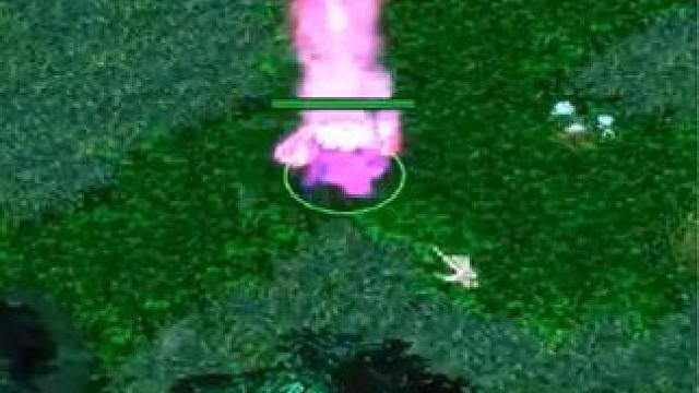 （二）大熊原声大碟，带一个高手开黑，红杖暴力骨法