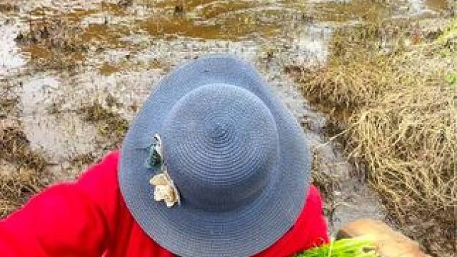 要吃的请举手 #大山里的美味