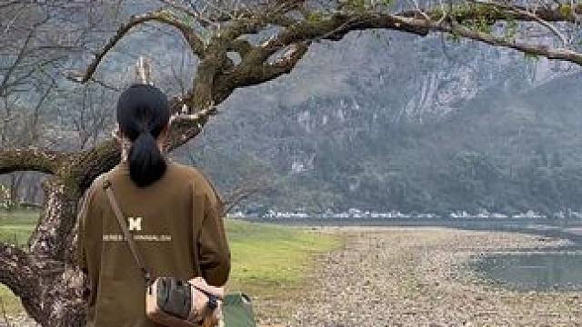 能在这里发呆一下午就很幸福…#露营 #治愈系风景 #在山间遇见春天