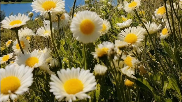 敢做敢为的女生，没什么是得不到的