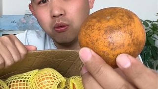 #揭秘 #试吃 #乌柑