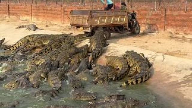 我发布了一个新视频，快来围观吧！