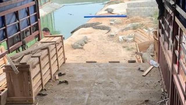 趁它不注意，拿着就是一倒