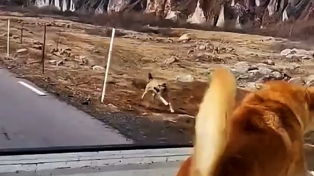 这是调城里工作了