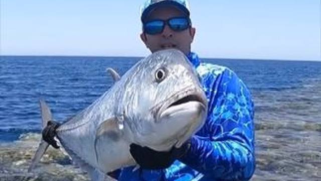 这个地方搭个钓台得多爽#国外视频分享 #好大一条鱼 #钓鱼人就是这么