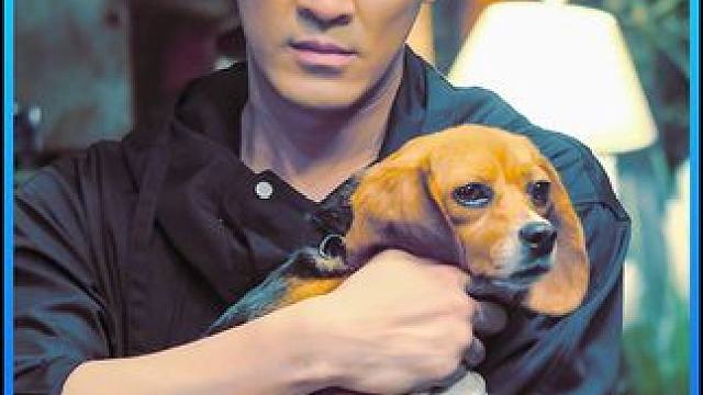 展览馆水泥雕塑竟藏着一具尸体后续，真相逐渐浮出水面 #悬疑剧 #影视解说 #好剧推荐 #我的观影报告