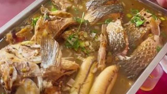 春食开冰梭，鲜的没法说！
抓紧开春的尾巴，十斤开冰梭来一个！
开冰梭是指开春以后从海里打捞上来的梭鱼