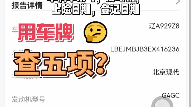 车牌查五项