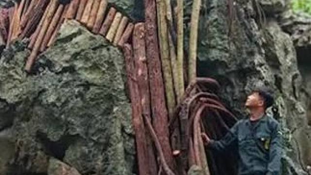 远离城市喧嚣，在洞穴庇护所生活 #荒野建造 #野外建造 #野外生活