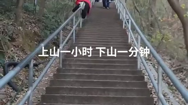 上山兄弟下山兄妹