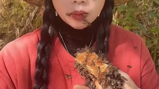 熊大熊二见了你都的跪拜