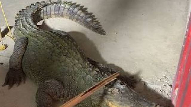 每天晚上都要上来敲门