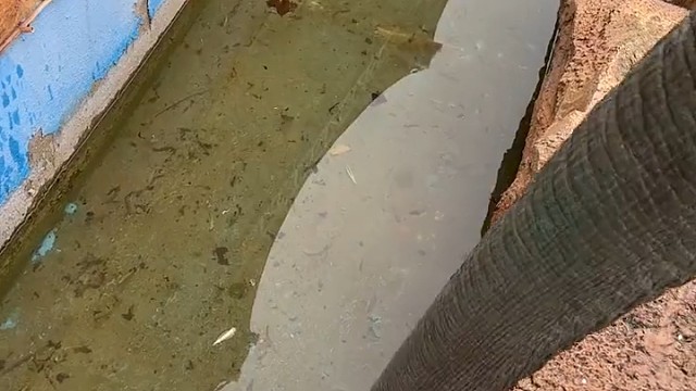 成功搞了个老六