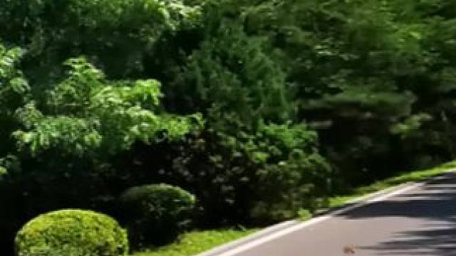 #有太阳，今日就值得歌颂