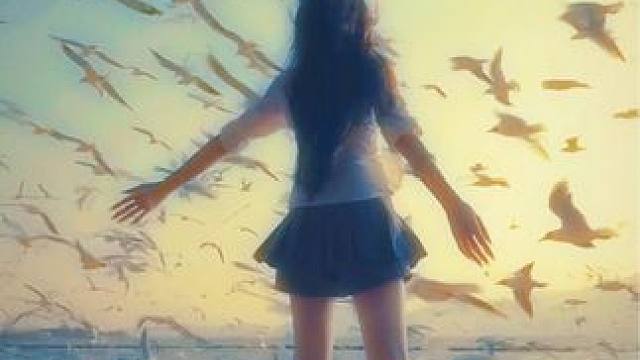 去享受那不被约束的自由#海鸥 #自由