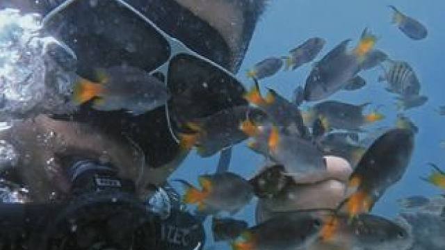 向前走，与终点处最好的自己坦荡握手#潜水 #海底世界