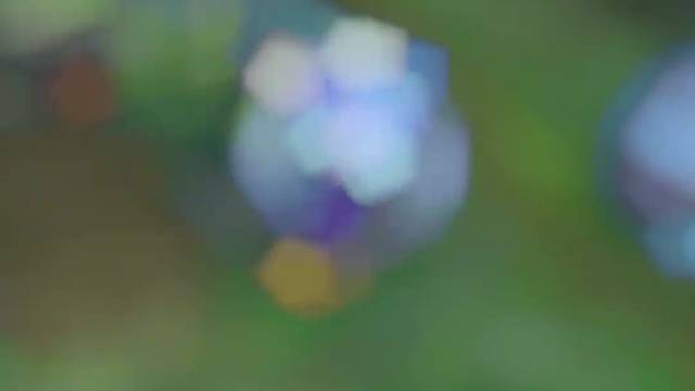 是你们先动的手啊#英雄联盟#