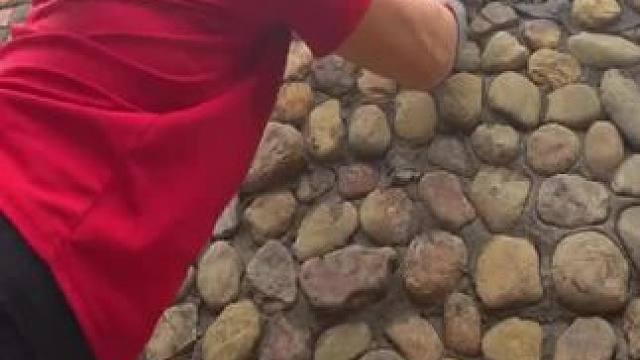 #野外生存技能 #野外生活纪录片 #农村原创视频 #野外生存 #户外求生技巧