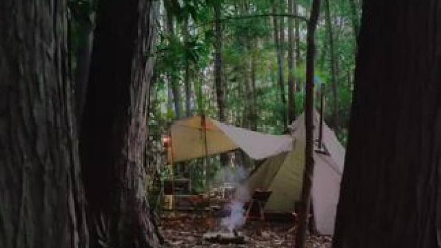 #寻一处幽静觅一份清欢 #向自然借宿一宿 #露营报告