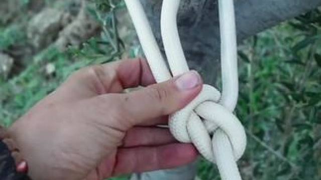 户外绳结#户外 #野营 #实用绳结 #露营报告 #露营技巧报告