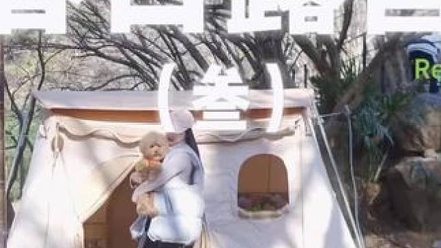 春日露营（叁）
春暖花开的日子最适合露营啦，带上修狗，于花前树下，结一帐，宿一宿，其乐无穷~
 #露