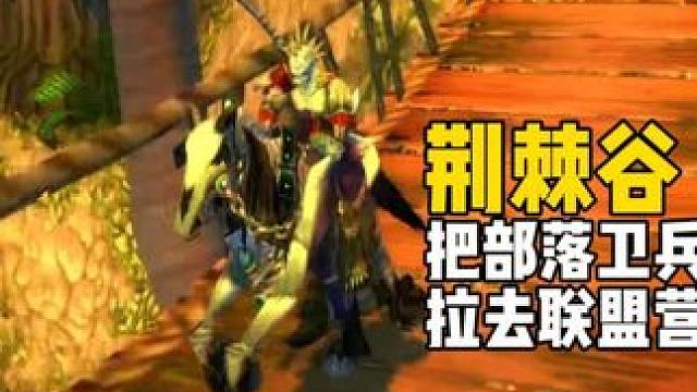 把部落卫兵拉去联盟营地 #魔兽世界 探索赛季 #魔兽世界plus 猎人突发奇想把部落卫兵拉去联盟营地