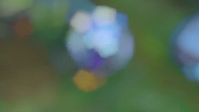 报告！是对面先动的手！