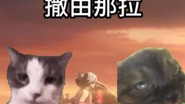 去你的撒由那拉！ #阴阳师 #我们一起玩过的阴阳师 #猫meme #修帝
