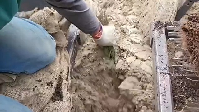 种树都机械化[赞]