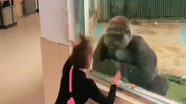 长的漂亮不如活的漂亮