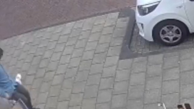 他教训了带头跑的那卷哈哈