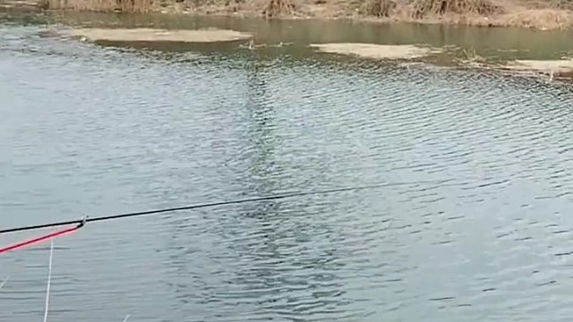 那个人也是，就说他是哑巴不就没事了