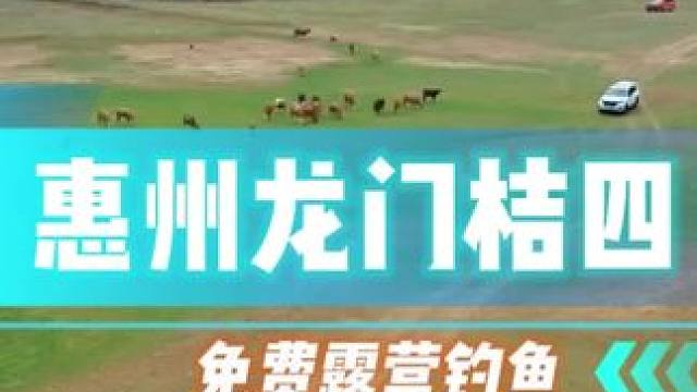在这里，我们能够感受大自然的宁静和野外的自由。清晨醒来，被鸟儿的歌声唤醒，身处在蓝天白云之下，心情无