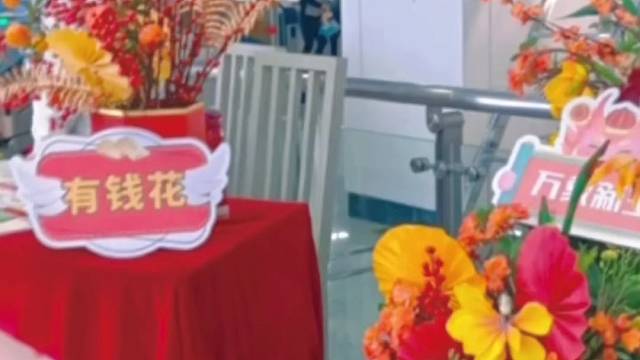 快乐家族