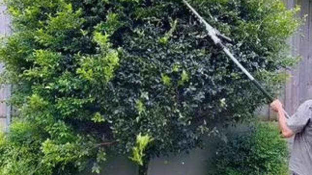 我发布了一个新视频，快来围观吧！