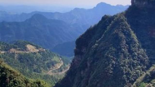 我发布了一个新视频，快来围观吧！