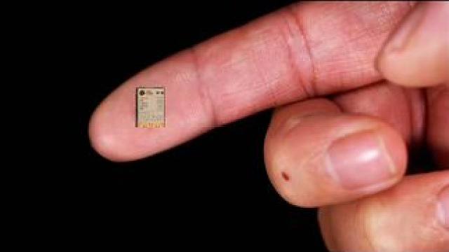 把刷到的御魂胚子放大10000倍 #阴阳师 #我们一起玩过的阴阳师 #阴阳师初音未来联动 #痒痒鼠 