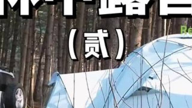 林中露营（贰）
#露营 #户外露营 #搬家 #助眠 #上热门