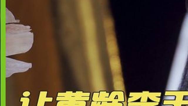 原来我当年吃这么好，古风圈元老女神银临随便一首，直接吊打现在的缝合怪 #银临  #是风动  #音乐 