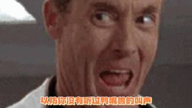 好可爱哇，好像rua一rua！