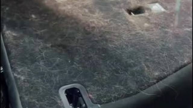 汽车脚垫、后备箱的猫毛狗毛就用这个刮就行了