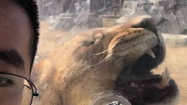 哈哈，兰州野生动物园真好玩