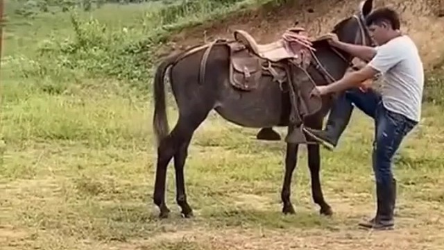 时机把握的恰到好处