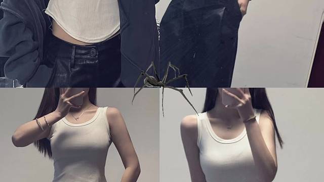 祝热干面大哥荣升帝皇