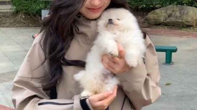 “这个世界不能没有小狗狗”#创作灵感 #定格在这春日瞬间 #被小狗治愈的一万个瞬间