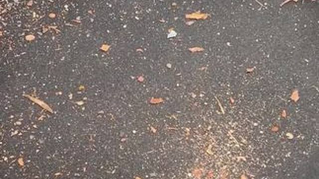 我发布了一个新视频，快来围观吧！